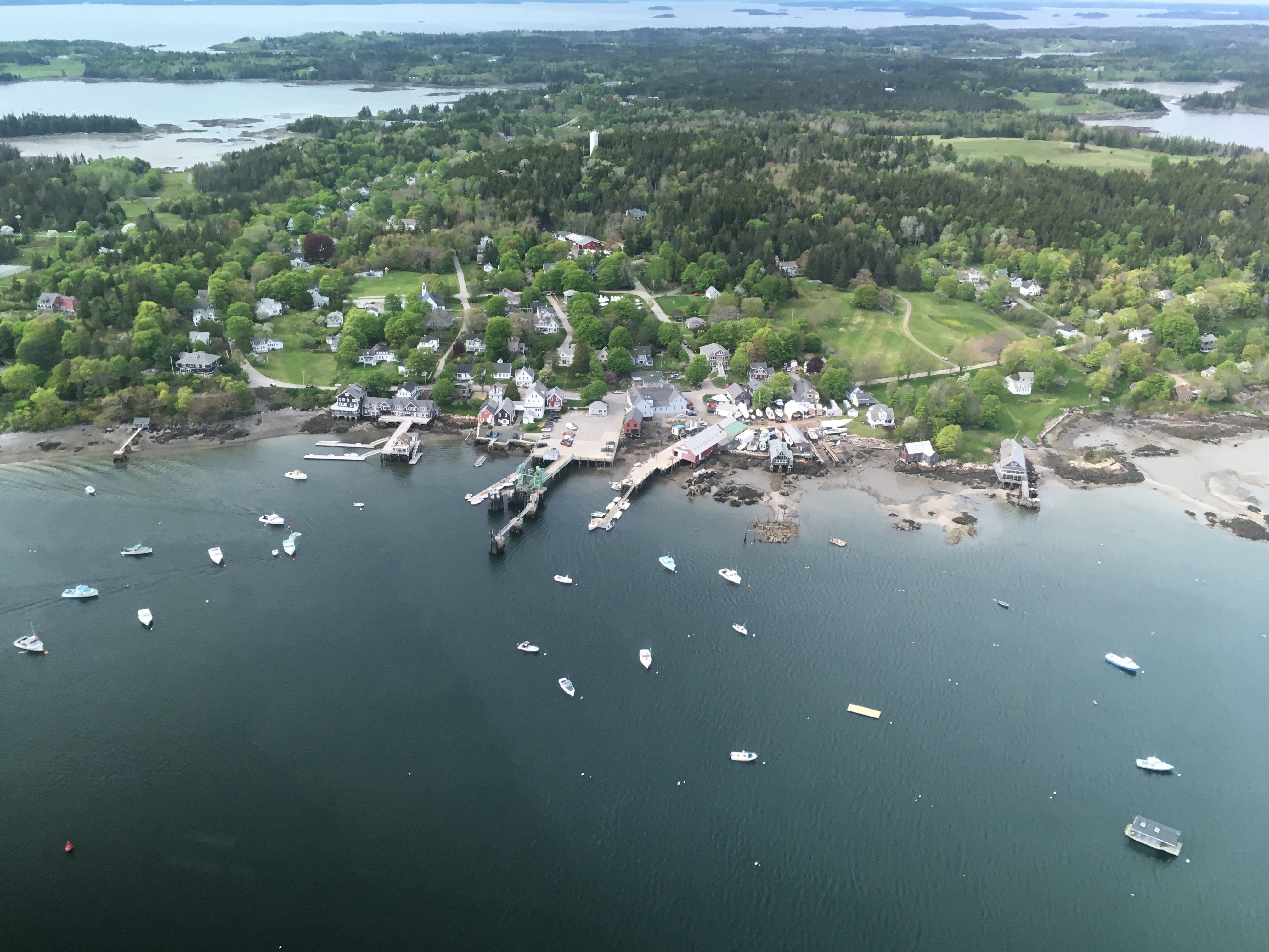 June iPhone Download 007